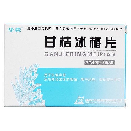 华森 甘桔冰梅片 0.2g*24片