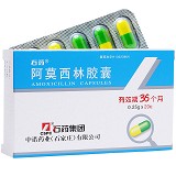 石药 阿莫西林胶囊 0.25g*20粒