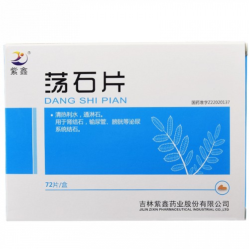 紫鑫 荡石片 72片