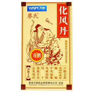 万胜 化风丹 0.12g*90丸