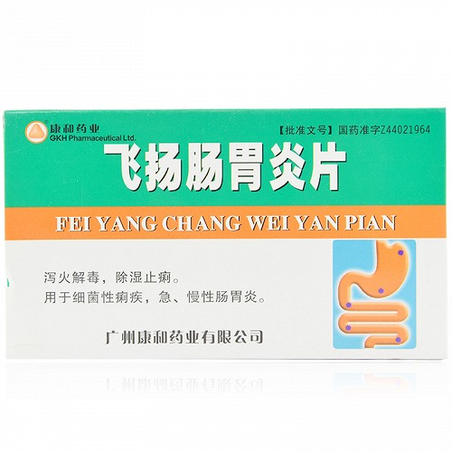 广州康和药业 飞扬肠胃炎片 24片