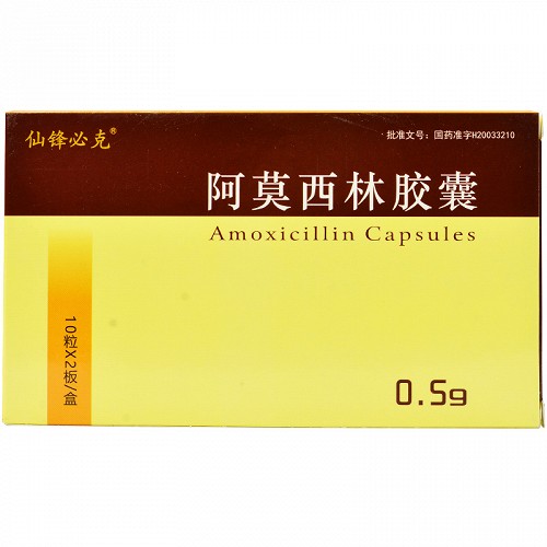 仙锋必克 阿莫西林胶囊 0.5g*10粒*2板