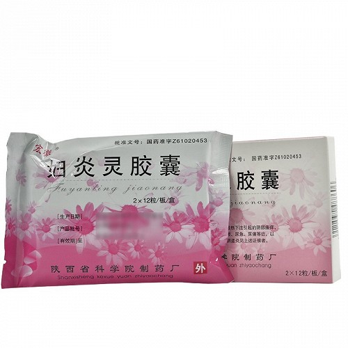 宏微妇炎灵胶囊04g24粒