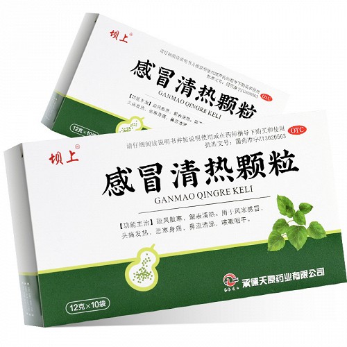 坝上 感冒清热颗粒 12g*10袋
