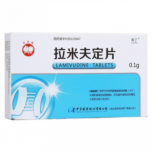 拉米夫定片 0.1g*7片