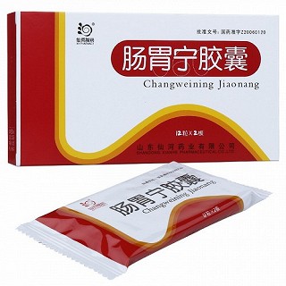 仙河制药 肠胃宁胶囊（仅限C端）  0.3g*24粒