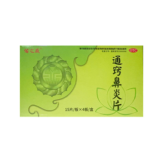 佑之盛 通窍鼻炎片 0.33g*15片*4板