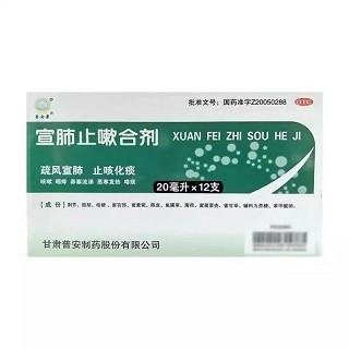 普安康 宣肺止嗽合剂 20ml*12支