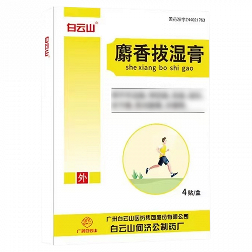 白云山 麝香拔湿膏 10cm*6cm*4贴