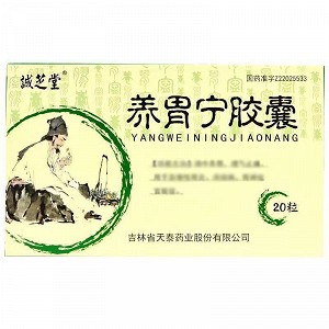 诚芝堂 养胃宁胶囊 0.3g*20粒*1板