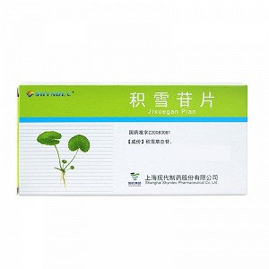 SHYNDEC 积雪苷片 12mg*24片*2板