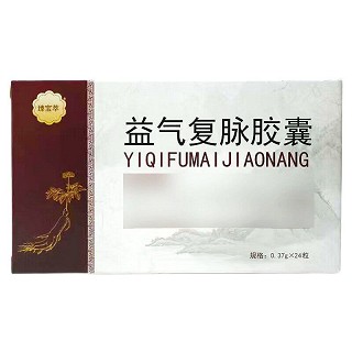 臻宝萃 益气复脉胶囊  0.37g*12粒*2板