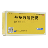 方舟 丹栀逍遥胶囊  0.45g*12粒*4板