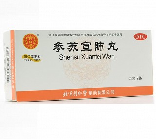 同仁堂 参苏宣肺丸 6g*12袋
