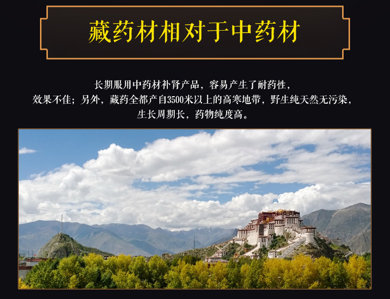 龙抬头 手参肾宝胶囊 0.3g*30粒