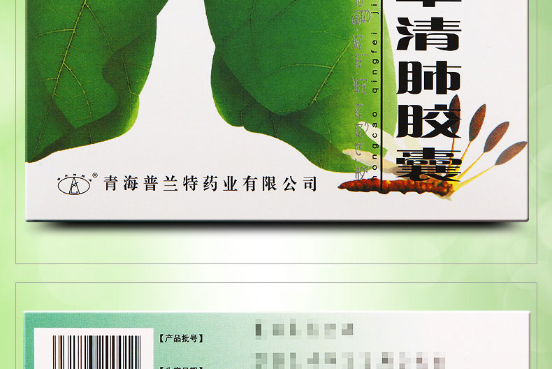 同济堂 虫草清肺胶囊 0.3g*24粒