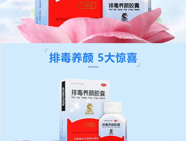 盘龙云海 排毒养颜胶囊 0.4g*70粒