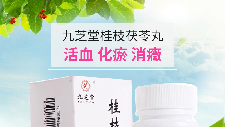 九芝堂 桂枝茯苓丸 126丸