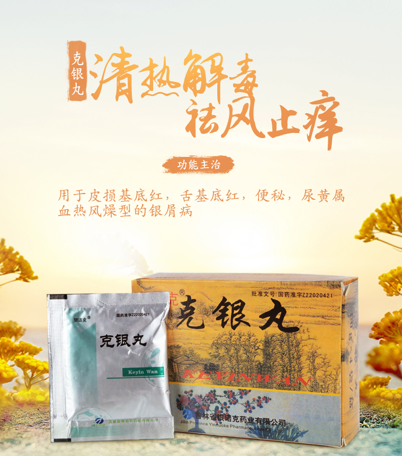 銀諾克 克銀丸 10g*4袋