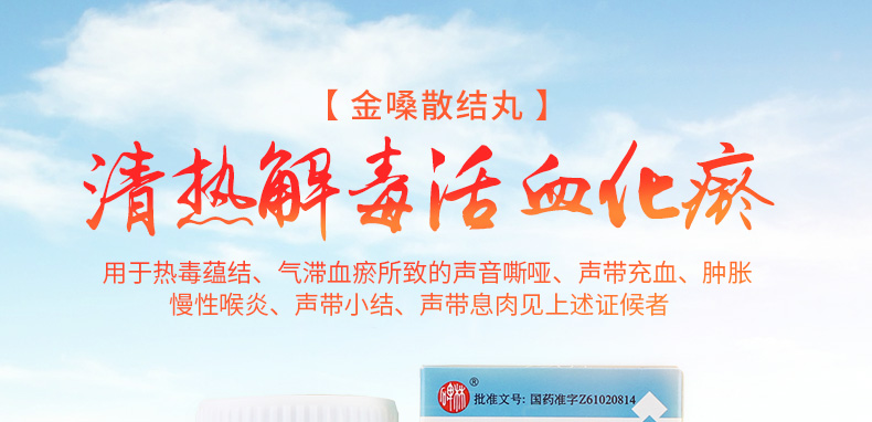 碑林金嗓散结丸01g360丸