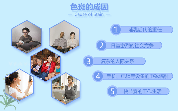 千白 氢醌乳膏 20g:0.4g