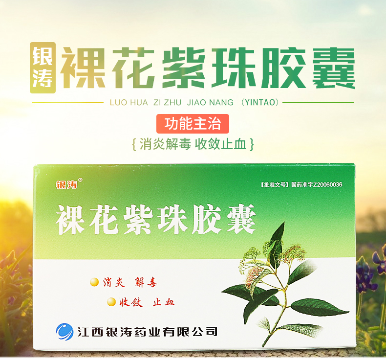 银涛 裸花紫珠胶囊 0.3g*36粒