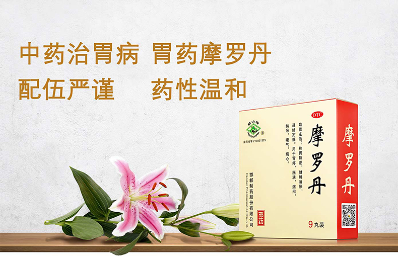 华山牌 摩罗丹 9g*9丸