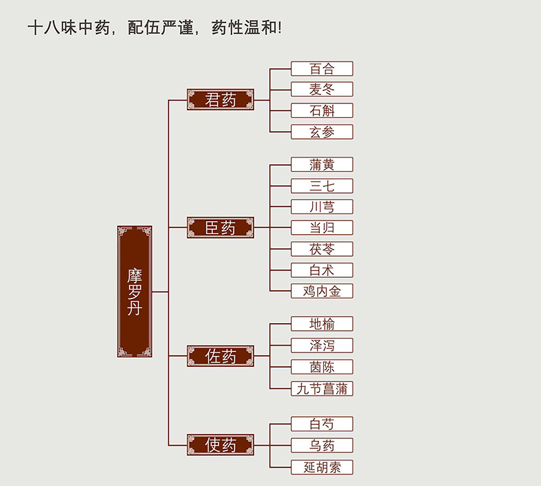 华山牌 摩罗丹 9g*9丸