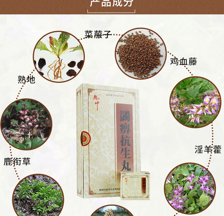 乾坤 蠲痹抗生丸 3g*8丸