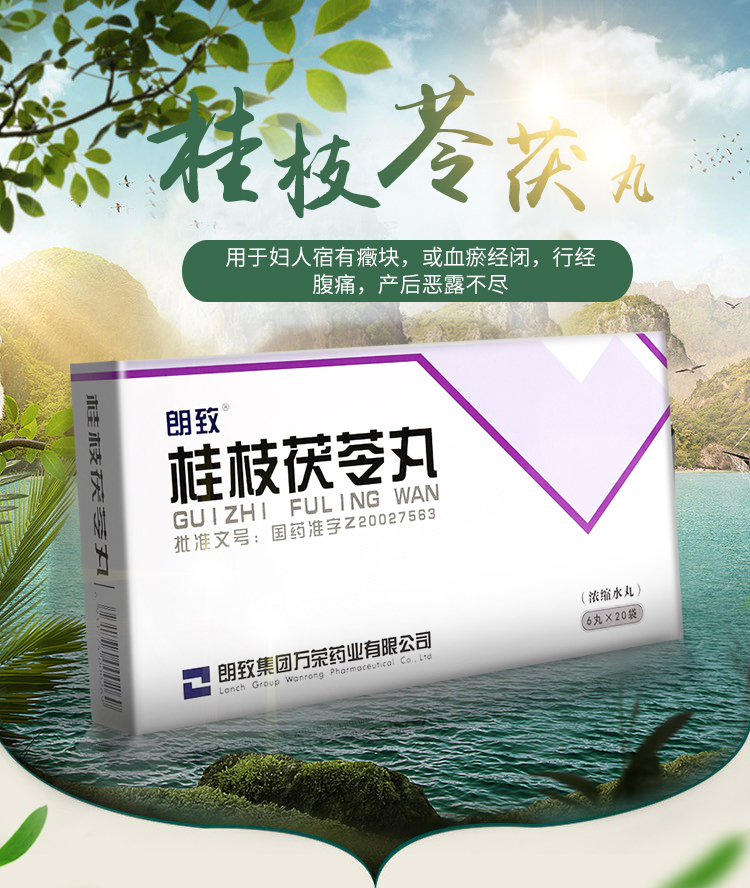 朗致 桂枝茯苓丸(浓缩水丸) 6丸*20袋