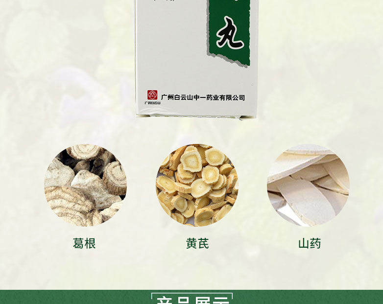 白云山 消渴丸 52.5g（210丸）