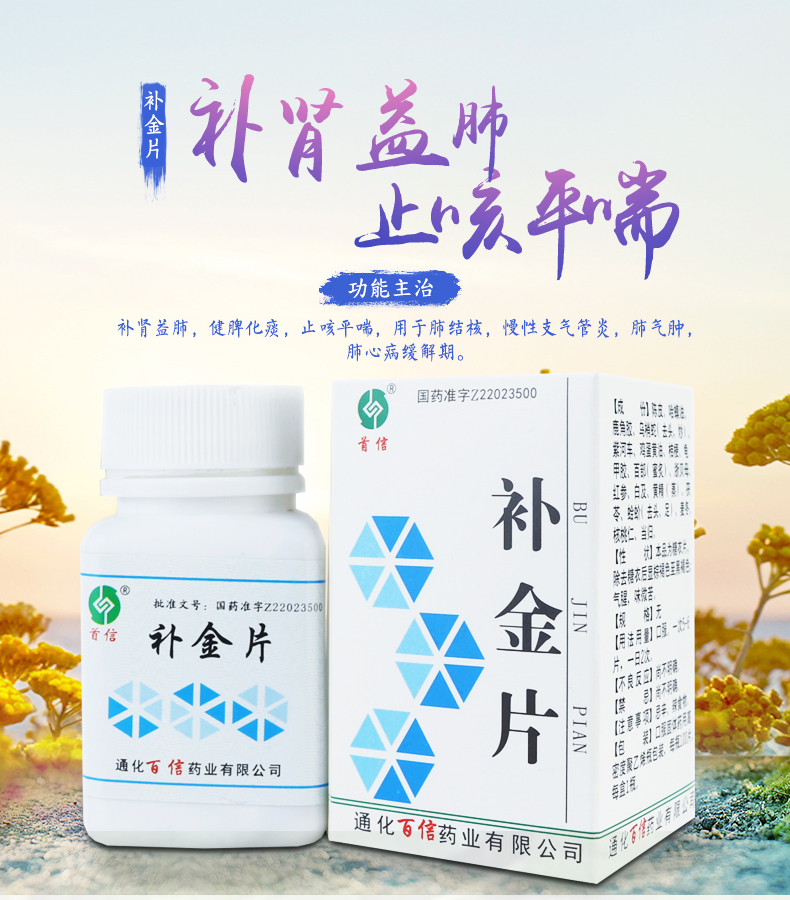 首信 补金片 100片