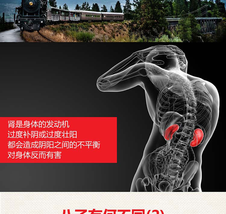以岭  八子补肾胶囊   0.4g*20粒