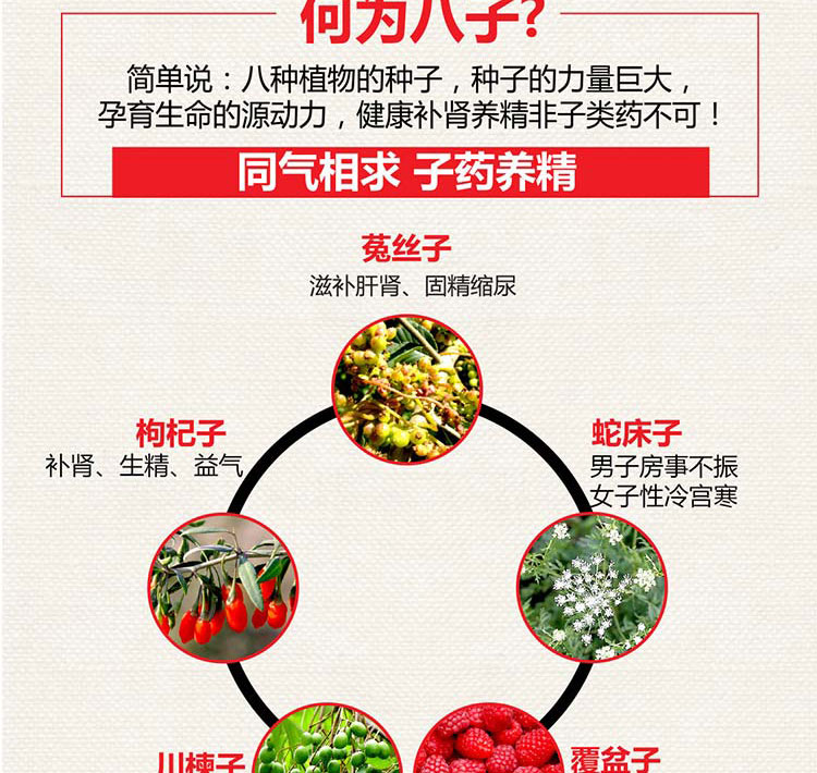 以岭  八子补肾胶囊   0.4g*20粒