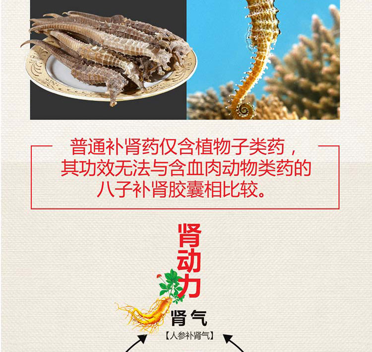 以岭  八子补肾胶囊   0.4g*20粒