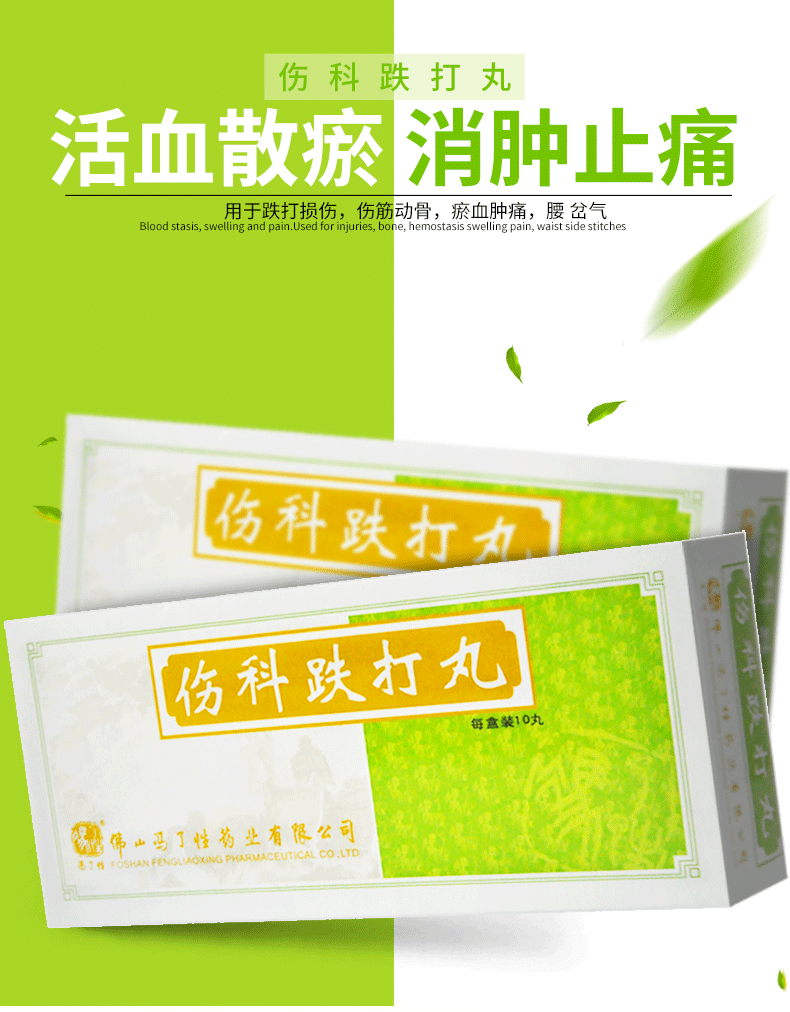 冯了性 伤科跌打丸 6.2g*10丸