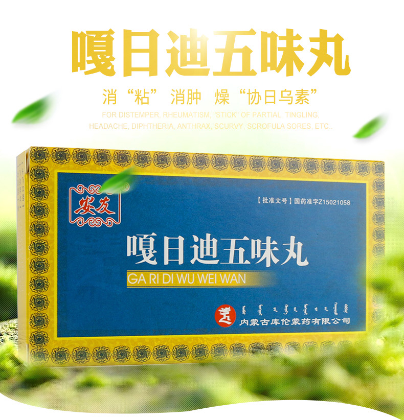 安友 嘎日迪五味丸 每10粒重2g*20粒/盒