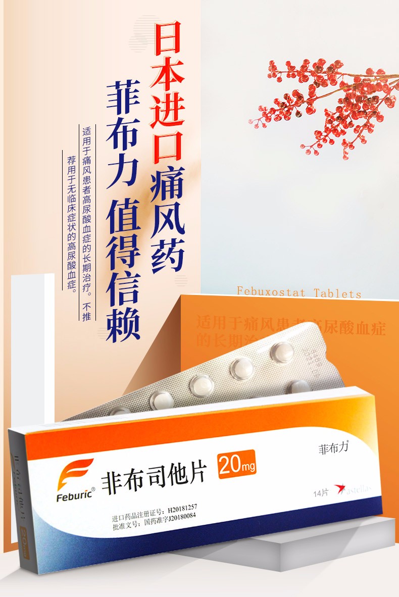 菲布力非布司他片20mg*14片价格及说明书-功效与作用