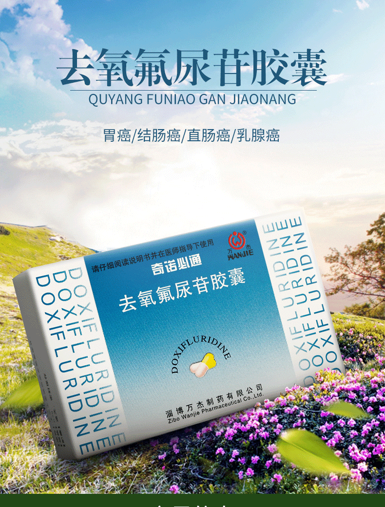 奇诺必通 去氧氟尿苷胶囊 0.2g24粒 主治功能图1