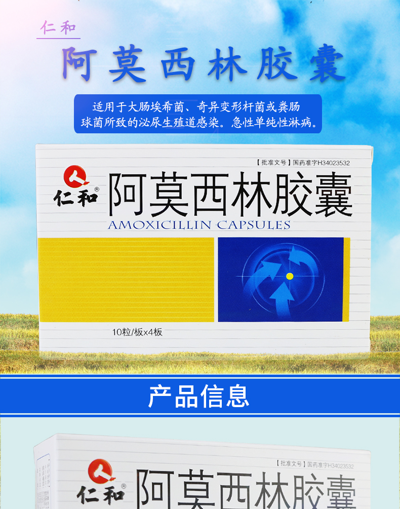 仁和 阿莫西林胶囊 0.25g*40粒 主治功能图1