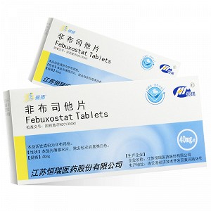 瑞扬 非布司他片 40mg*10片