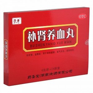 子午 补肾养血丸 6g*24袋