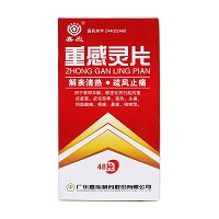 嘉应 重感灵片 48片