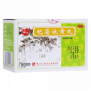 冯了性 杞菊地黄丸 6g*10袋