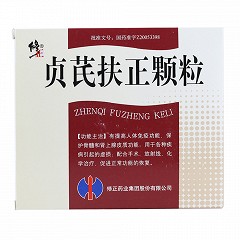 修正 贞芪扶正颗粒(含糖型)