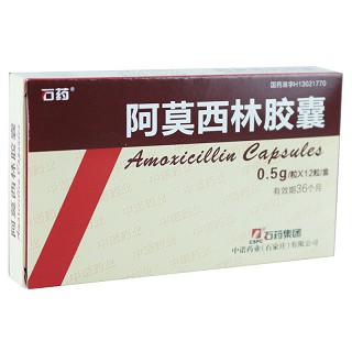 石药 阿莫西林胶囊 0.5g*12粒