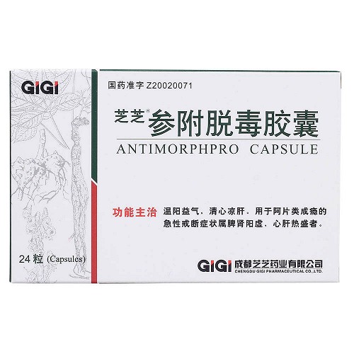 芝芝 参附脱毒胶囊 0.4g*24粒