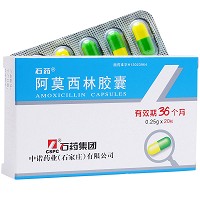 石药 阿莫西林胶囊 0.25g*20粒