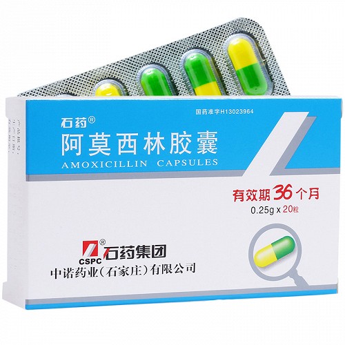 石药 阿莫西林胶囊 0.25g*20粒