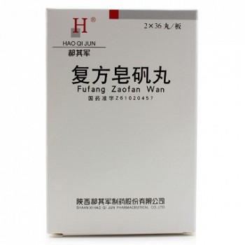 郝其军 复方皂矾丸 0.2g*72丸